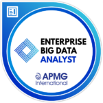 Enterprise Big Data Analyst