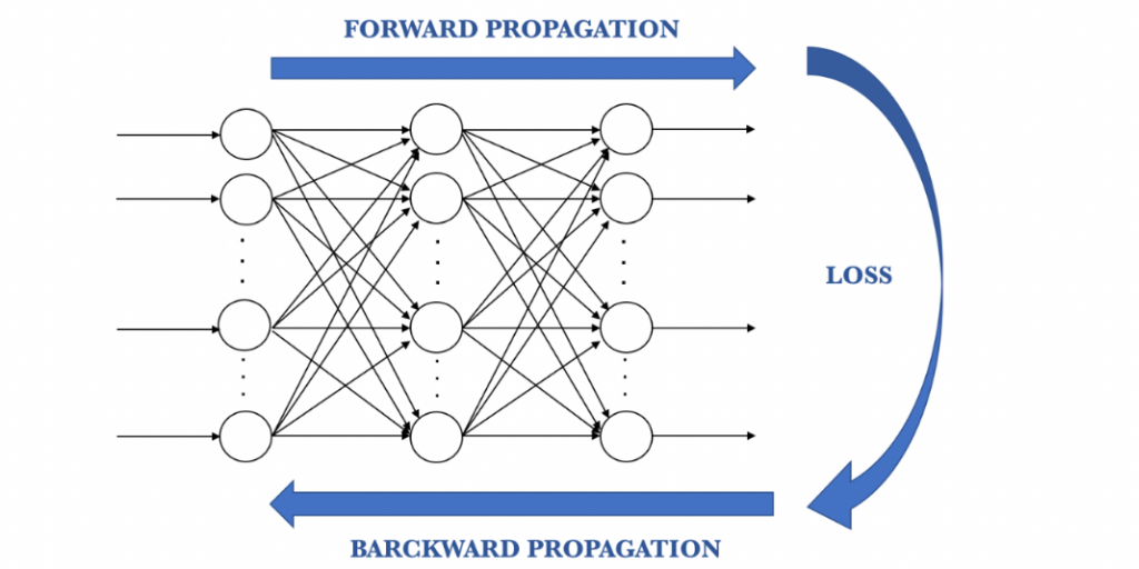 CKC Information Propagation ANN