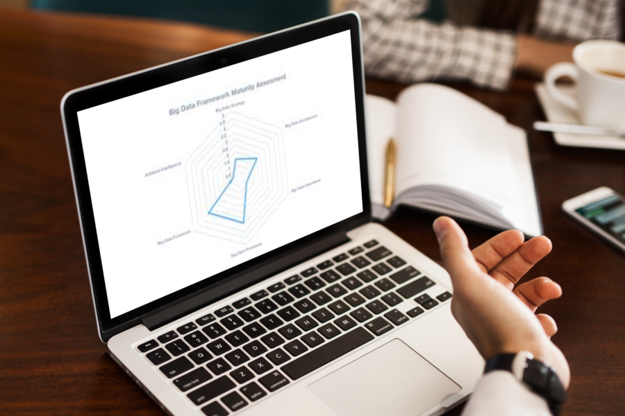 Big Data Maturity Assessment