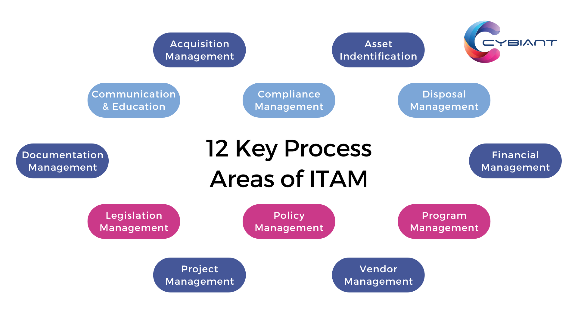 12 Key Process Areas of ITAM